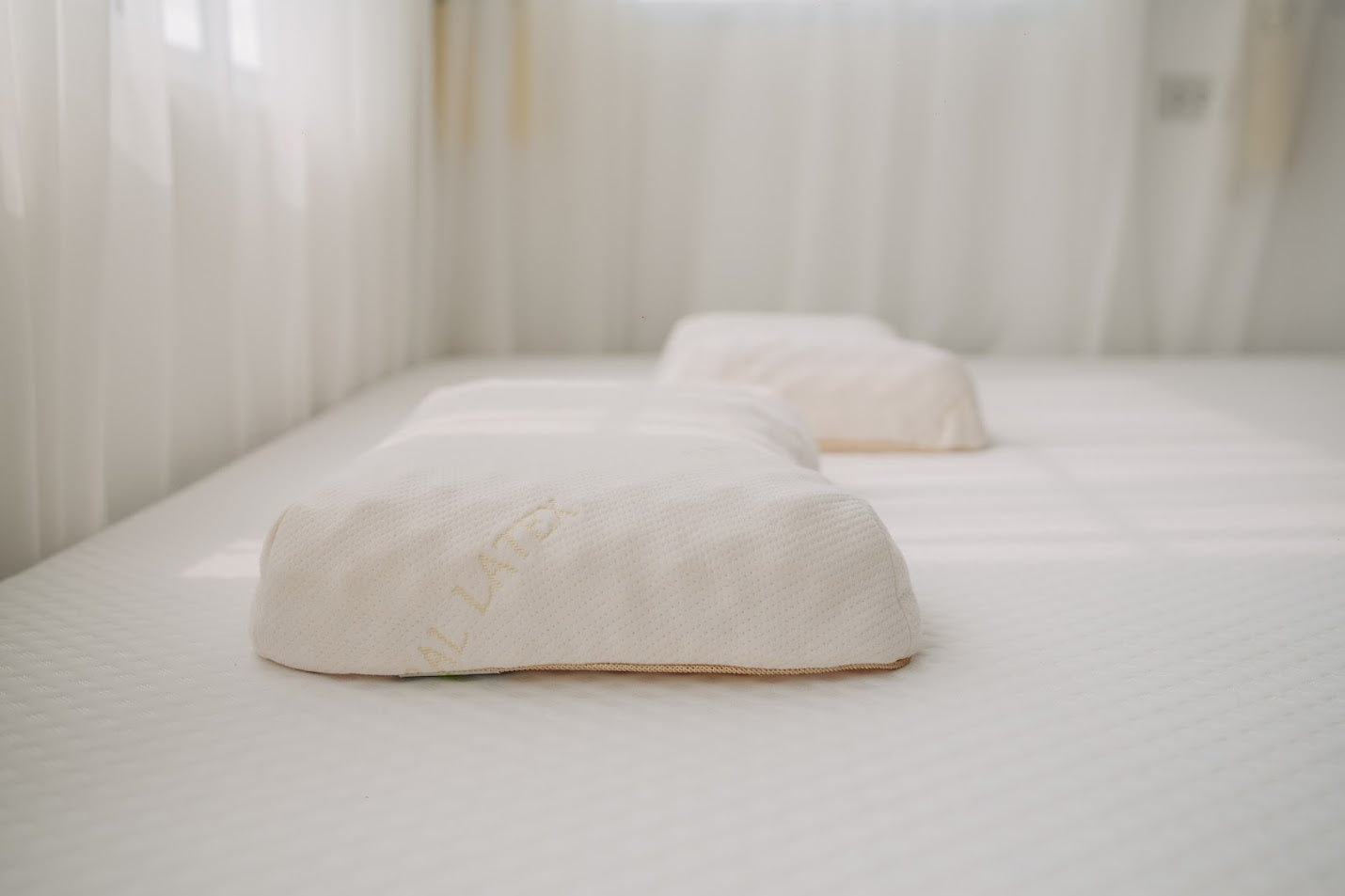 หมอนยางพาราแท้ รุ่น ทุเรียน