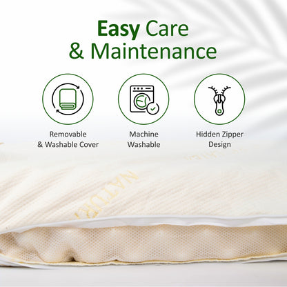 DOLPHIN SPA – 100% Organic Natural Thai Latex Pillow (Anatomical Support)