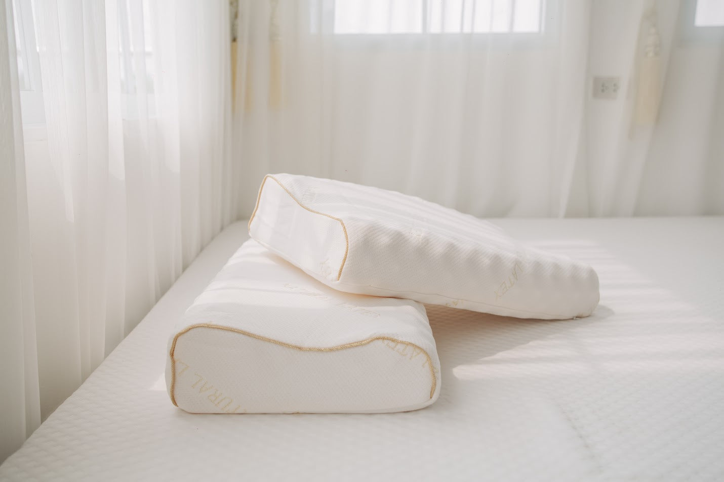 Latex pillow "DRAGON"