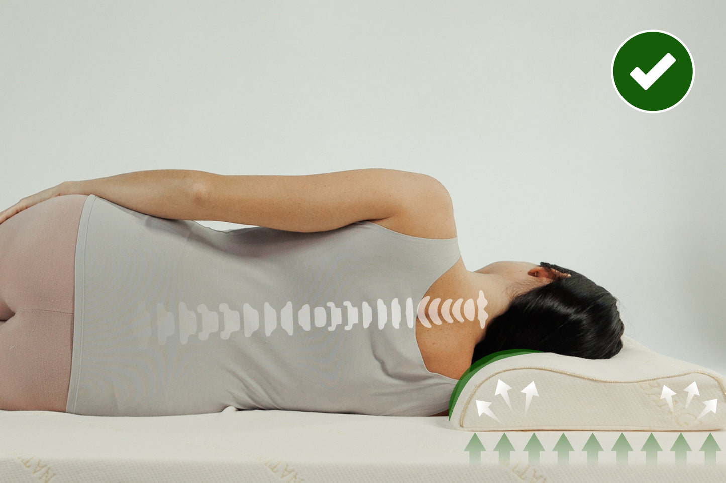 หมอนยางพาราแท้ รุ่น ดอลฟิน สปา