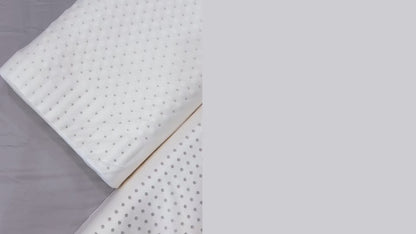 Latex pillow "DOLPHIN"