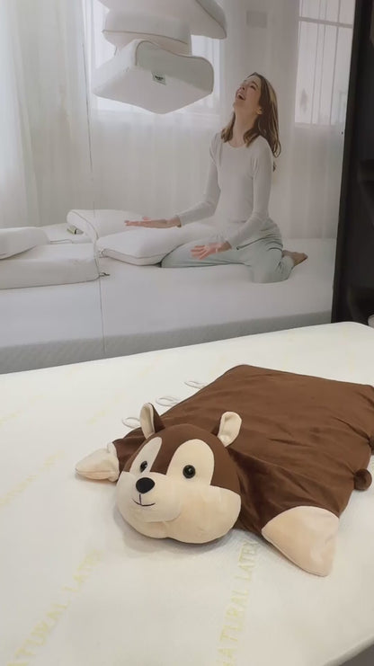 Pillow Toy "Squirrel"