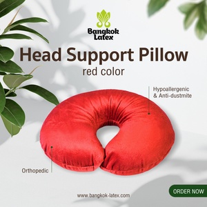 Travel Pillow of Traditional Shape "RED" HS-RD фото