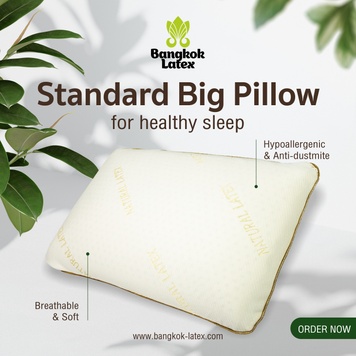 Smooth pillow of traditional shape STANDARD Big