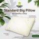 Smooth pillow of traditional shape STANDARD Big
