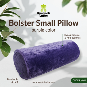 BOLSTER SMALL "PURPLE"